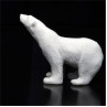 Медведь белый 1